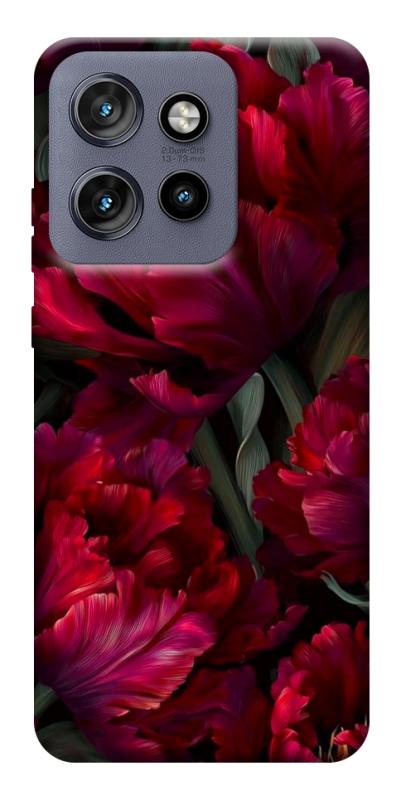 Чехол itsPrint Passion flower для Motorola Edge 50 Neo, цветы, купить оптом с доставкой
