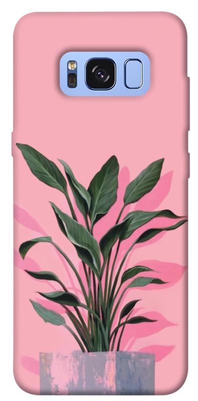 Чохол itsPrint Pink plant для Samsung G950 Galaxy S8, квіти, купити оптом з доставкою