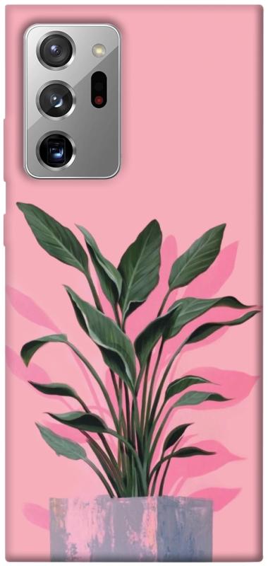 Чехол itsPrint Pink plant для Samsung Galaxy Note 20 Ultra, цветы, купить оптом с доставкой