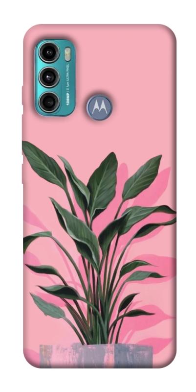 Чохол itsPrint Pink plant для Motorola Moto G60, квіти, купити оптом з доставкою