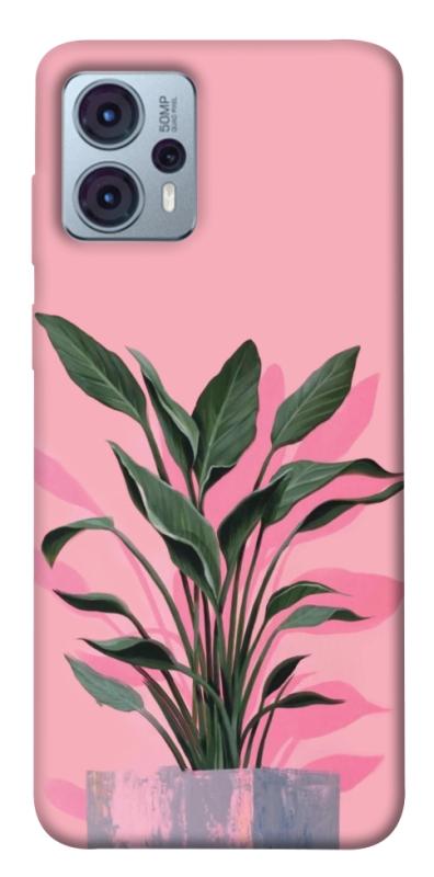 Чехол itsPrint Pink plant для Motorola Moto G23, цветы, купить оптом с доставкой