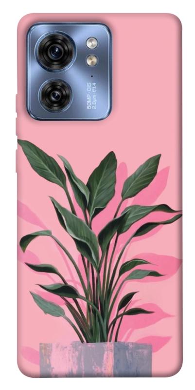 Чехол itsPrint Pink plant для Motorola Edge 40, цветы, купить оптом с доставкой