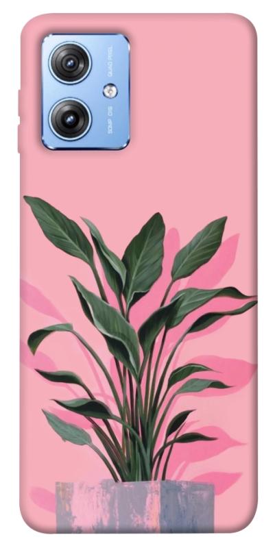 Чохол itsPrint Pink plant для Motorola Moto G84, квіти, купити оптом з доставкою