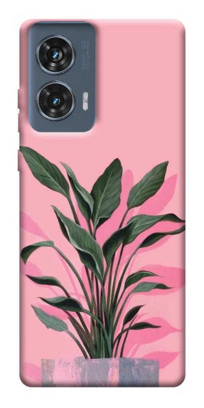 Чохол itsPrint Pink plant для Motorola Edge 50 Fusion, квіти, купити оптом з доставкою