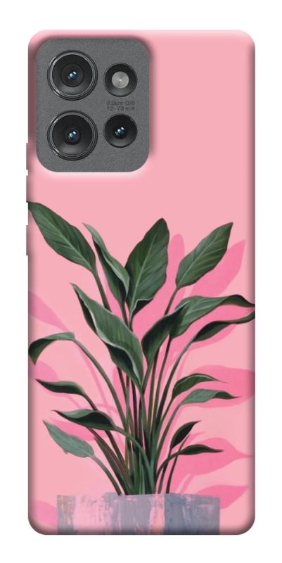 Чехол itsPrint Pink plant для Motorola Edge 50, цветы, купить оптом с доставкой