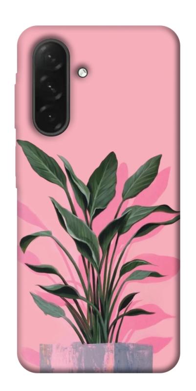 Чехол itsPrint Pink plant для Samsung Galaxy A26 5G, цветы, купить оптом с доставкой