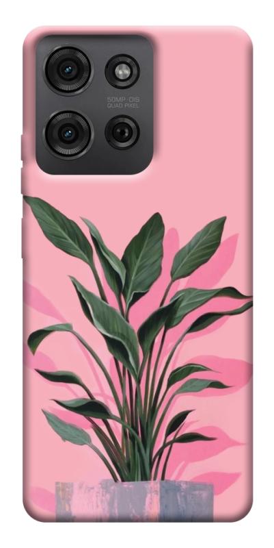 Чехол itsPrint Pink plant для Motorola Moto G75 5G, цветы, купить оптом с доставкой