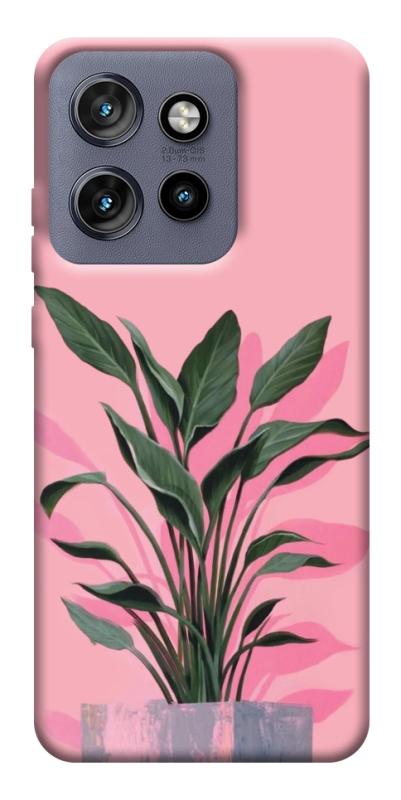 Чехол itsPrint Pink plant для Motorola Edge 50 Neo, цветы, купить оптом с доставкой
