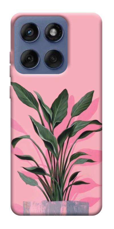 Чехол itsPrint Pink plant для Motorola Edge 60 Fusion, цветы, купить оптом с доставкой