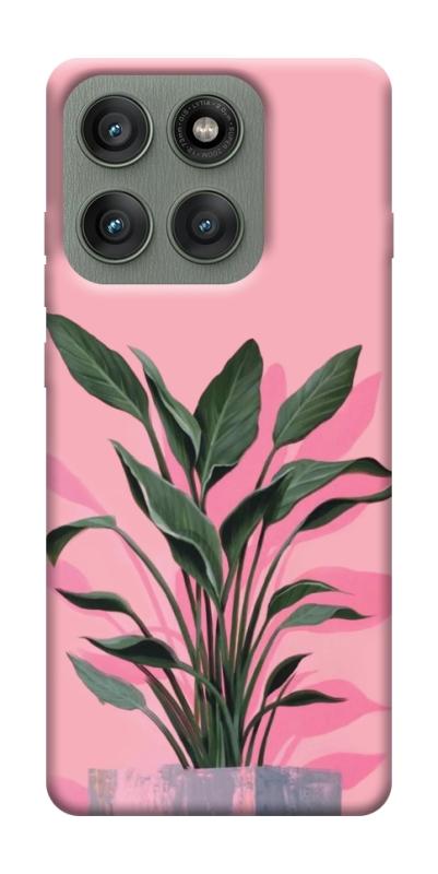 Чехол itsPrint Pink plant для Motorola Edge 60 Pro, цветы, купить оптом с доставкой