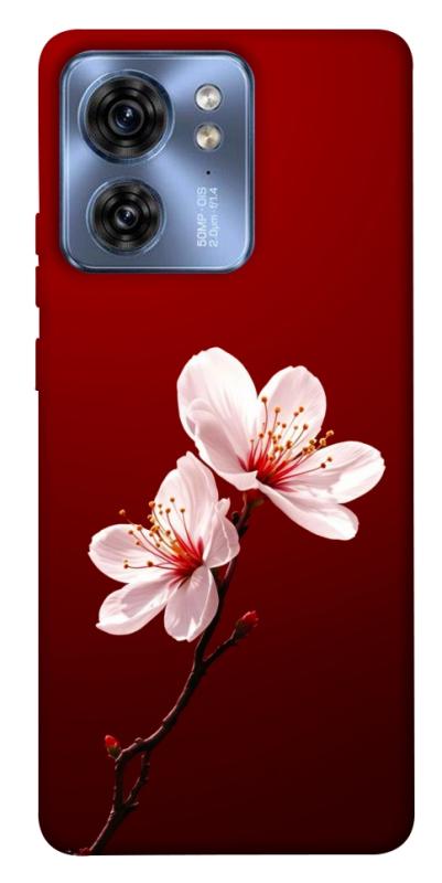 Чехол itsPrint Sakura red для Motorola Edge 40, цветы, купить оптом с доставкой