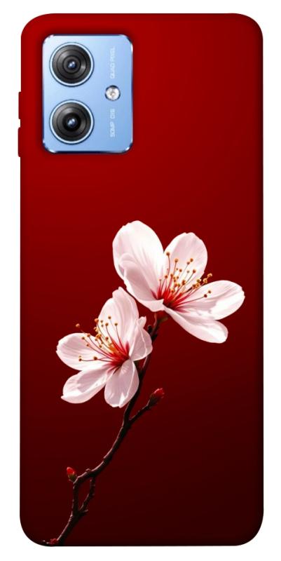 Чохол itsPrint Sakura red для Motorola Moto G84, квіти, купити оптом з доставкою