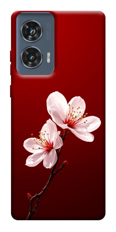 Чохол itsPrint Sakura red для Motorola Edge 50 Fusion, квіти, купити оптом з доставкою