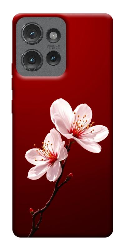 Чехол itsPrint Sakura red для Motorola Edge 50, цветы, купить оптом с доставкой