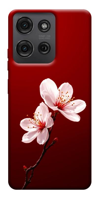 Чехол itsPrint Sakura red для Motorola Moto G75 5G, цветы, купить оптом с доставкой