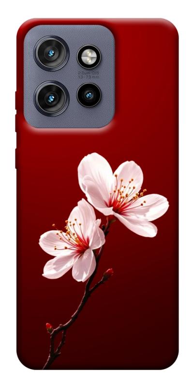 Чехол itsPrint Sakura red для Motorola Edge 50 Neo, цветы, купить оптом с доставкой