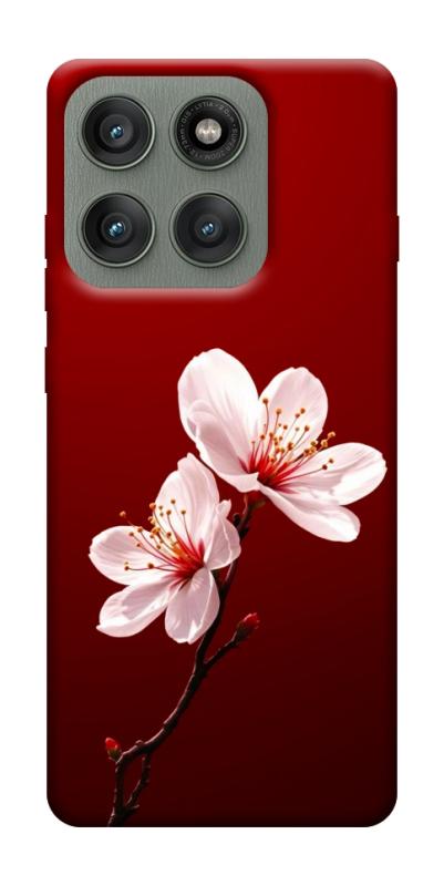 Чехол itsPrint Sakura red для Motorola Edge 60 Pro, цветы, купить оптом с доставкой