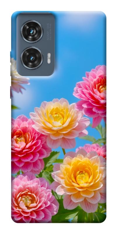Чохол itsPrint Summer day для Motorola Edge 50 Fusion, квіти, купити оптом з доставкою