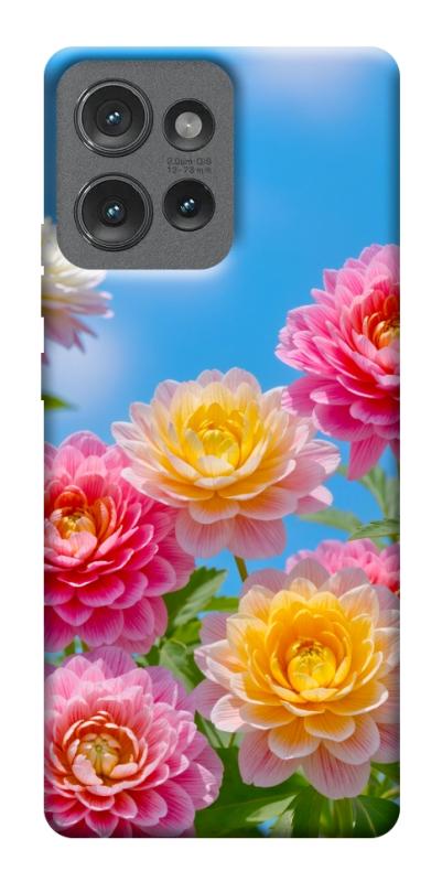Чехол itsPrint Summer day для Motorola Edge 50, цветы, купить оптом с доставкой
