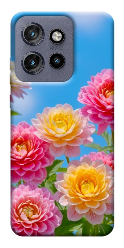 Чехол itsPrint Summer day для Motorola Edge 50 Neo, цветы, купить оптом с доставкой