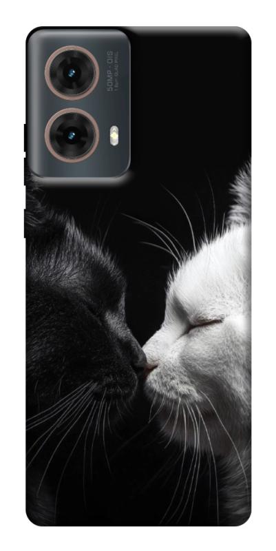Чехол itsPrint Black and white cats для Motorola Moto G85, животные, купить оптом с доставкой