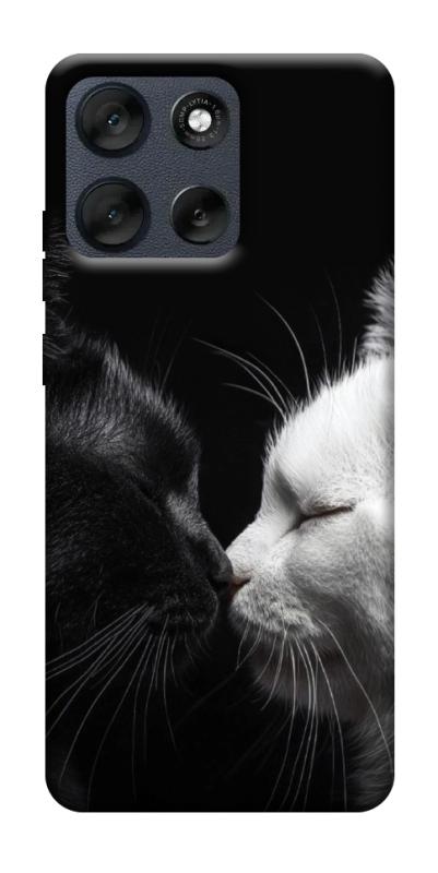 Чехол itsPrint Black and white cats для Motorola Moto G56 5G, животные, купить оптом с доставкой