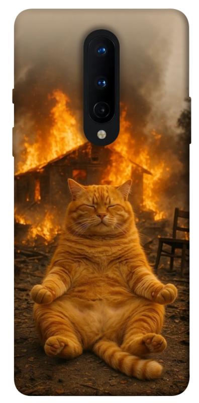 Чохол itsPrint Burning cat для OnePlus 8, тварини, купити оптом з доставкою