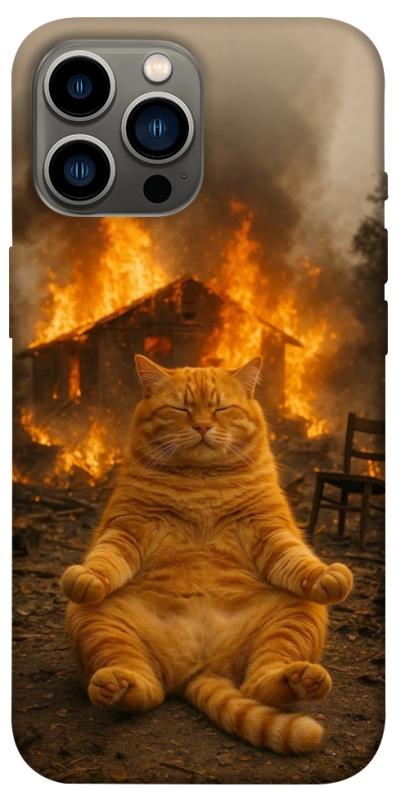 Чехол itsPrint Burning cat для Apple iPhone 12 Pro Max (6.7"), животные, купить оптом с доставкой