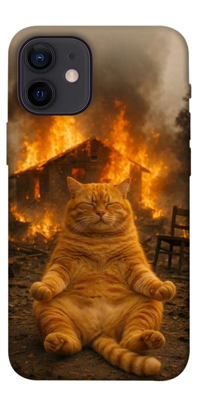 Чехол itsPrint Burning cat для Apple iPhone 12 mini (5.4"), животные, купить оптом с доставкой