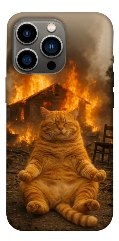 Чехол itsPrint Burning cat для Apple iPhone 13 Pro (6.1"), животные, купить оптом с доставкой