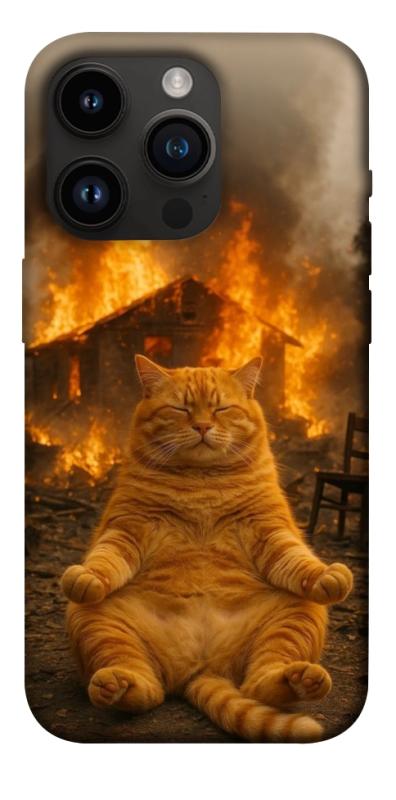 Чехол itsPrint Burning cat для Apple iPhone 14 Pro (6.1"), животные, купить оптом с доставкой