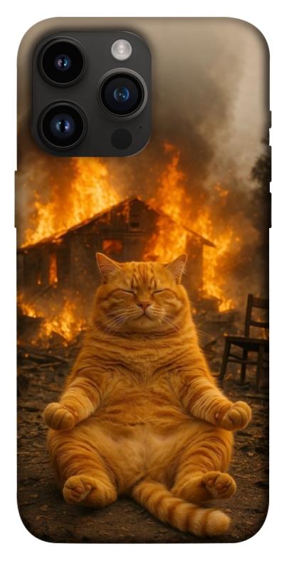 Чехол itsPrint Burning cat для Apple iPhone 14 Pro Max (6.7"), животные, купить оптом с доставкой