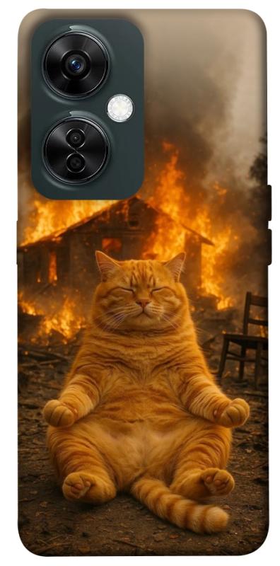 Чехол itsPrint Burning cat для OnePlus Nord CE 3 Lite, животные, купить оптом с доставкой