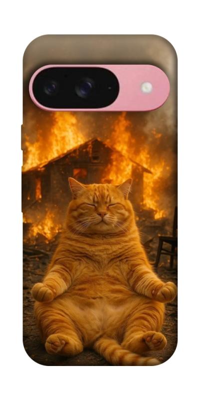 Чехол itsPrint Burning cat для Google Pixel 9, животные, купить оптом с доставкой