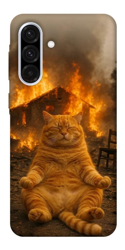 Чехол itsPrint Burning cat для Samsung Galaxy A56 5G, животные, купить оптом с доставкой