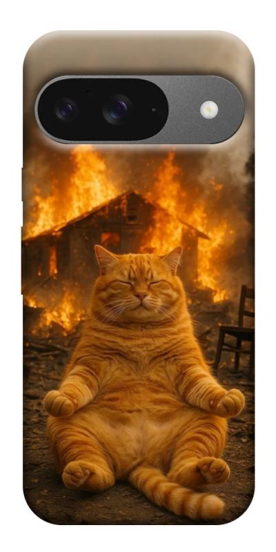 Чехол itsPrint Burning cat для Google Pixel 10, животные, купить оптом с доставкой