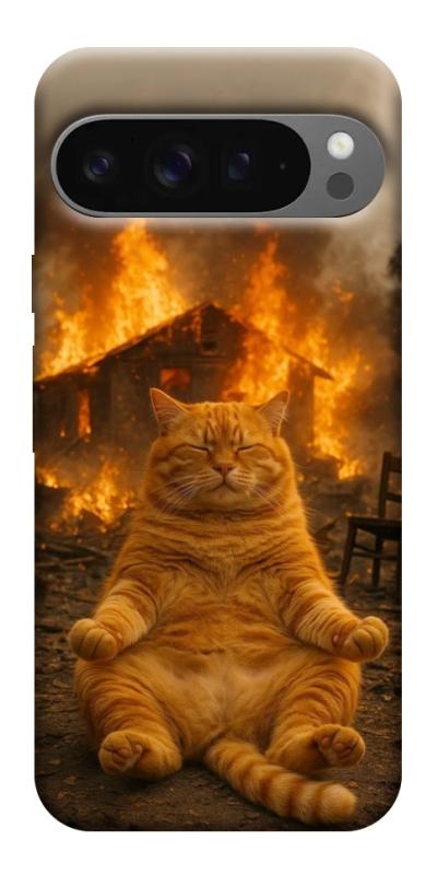 Чехол itsPrint Burning cat для Google Pixel 10 Pro XL, животные, купить оптом с доставкой
