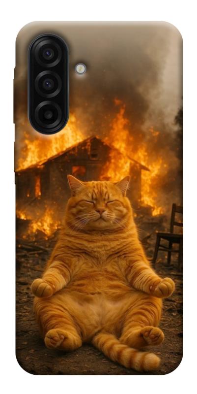 Чехол itsPrint Burning cat для Samsung Galaxy A17 5G/4G, животные, купить оптом с доставкой