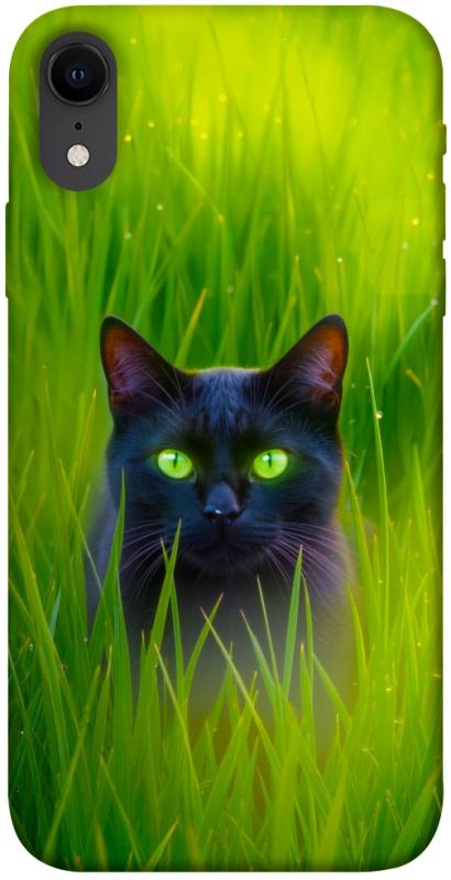 Чехол itsPrint Cat in the grass для Apple iPhone XR (6.1"), животные, купить оптом с доставкой
