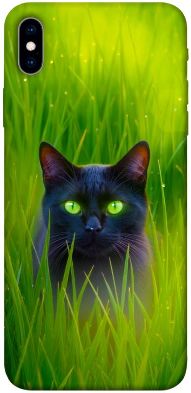 Чехол itsPrint Cat in the grass для Apple iPhone XS Max (6.5"), животные, купить оптом с доставкой