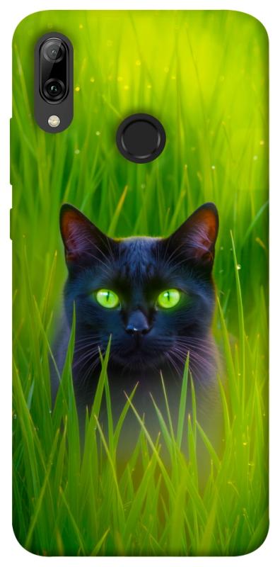 Чохол itsPrint Cat in the grass для Huawei P Smart (2019), тварини, купити оптом з доставкою