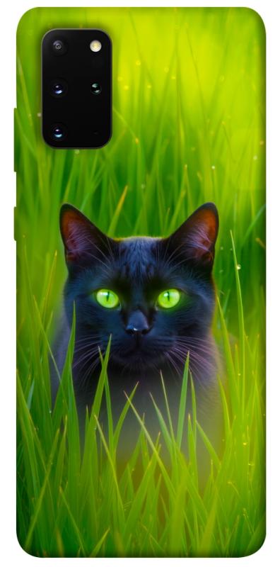 Чехол itsPrint Cat in the grass для Samsung Galaxy S20+, животные, купить оптом с доставкой