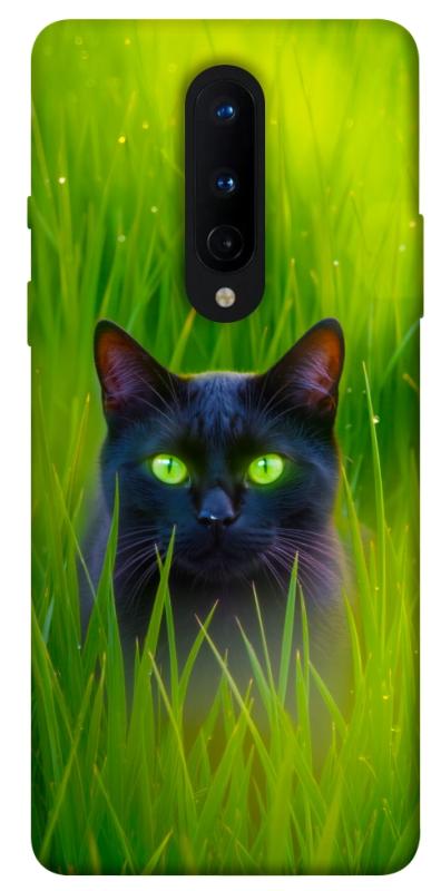 Чохол itsPrint Cat in the grass для OnePlus 8, тварини, купити оптом з доставкою