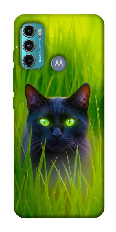 Чохол itsPrint Cat in the grass для Motorola Moto G60, тварини, купити оптом з доставкою