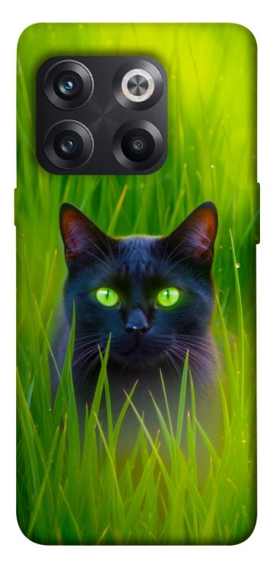 Чехол itsPrint Cat in the grass для OnePlus 10T, животные, купить оптом с доставкой