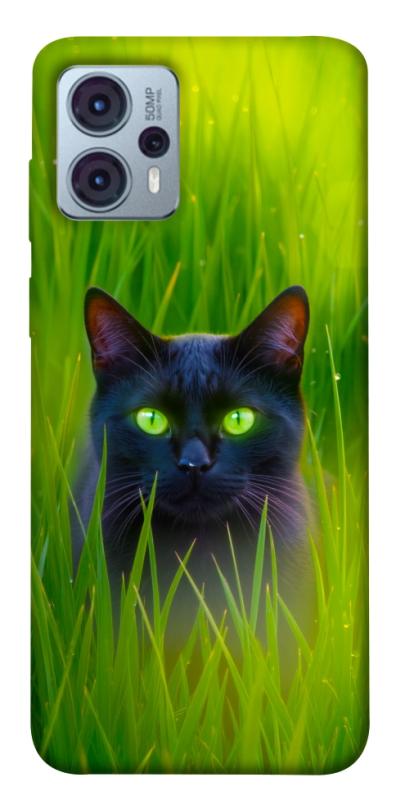 Чехол itsPrint Cat in the grass для Motorola Moto G23, животные, купить оптом с доставкой