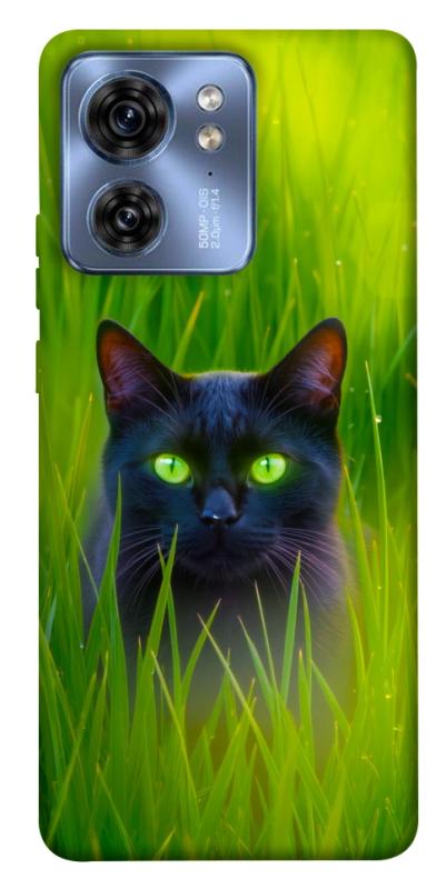 Чехол itsPrint Cat in the grass для Motorola Edge 40, животные, купить оптом с доставкой