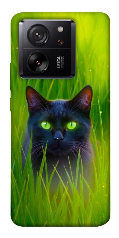 Чехол itsPrint Cat in the grass для Xiaomi 13T, животные, купить оптом с доставкой