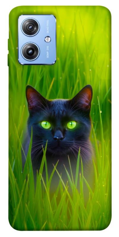 Чохол itsPrint Cat in the grass для Motorola Moto G84, тварини, купити оптом з доставкою