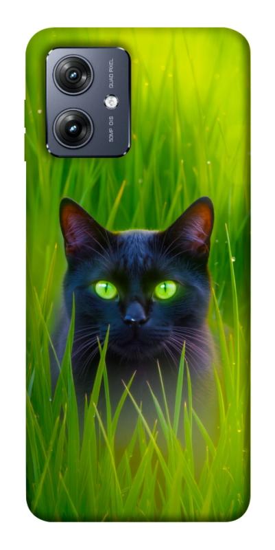 Чехол itsPrint Cat in the grass для Motorola Moto G54, животные, купить оптом с доставкой